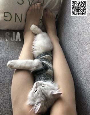 梦中情人