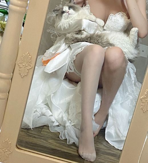 征服爱情